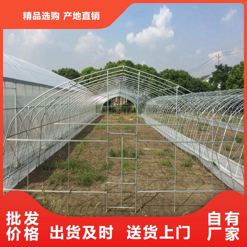 泰和連棟大棚安裝視頻教程購買2025