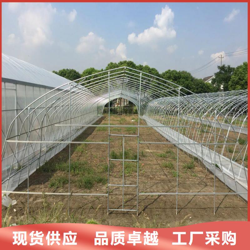 二道江區4分大棚管廠家