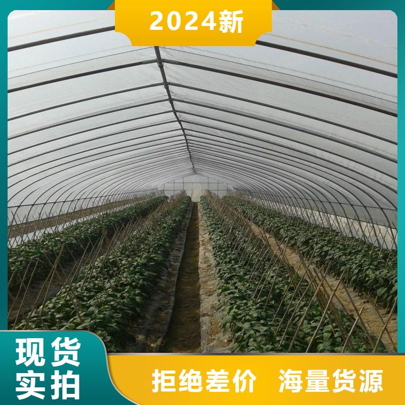 東方街道連體大棚用鍍鋅管聯(lián)系電話