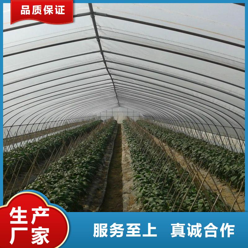 沽源連棟大棚造價(jià)多少一畝直銷價(jià)格2025