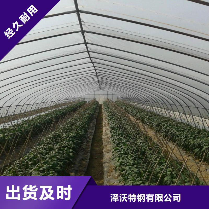 南靖聯動大棚量大從優