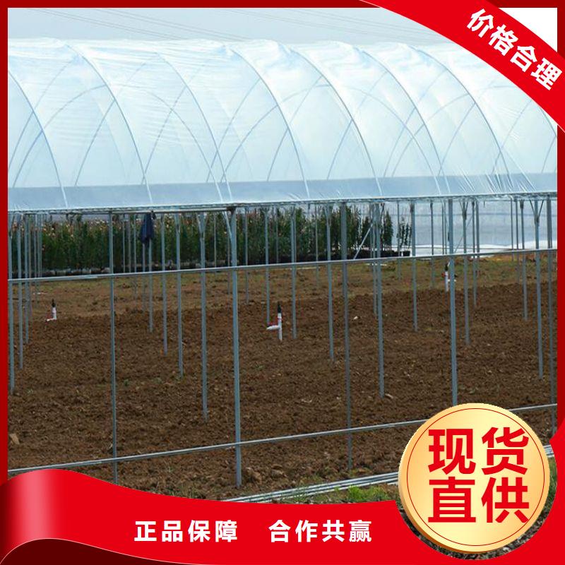 西鄉(xiāng)街道連棟骨架鋼管