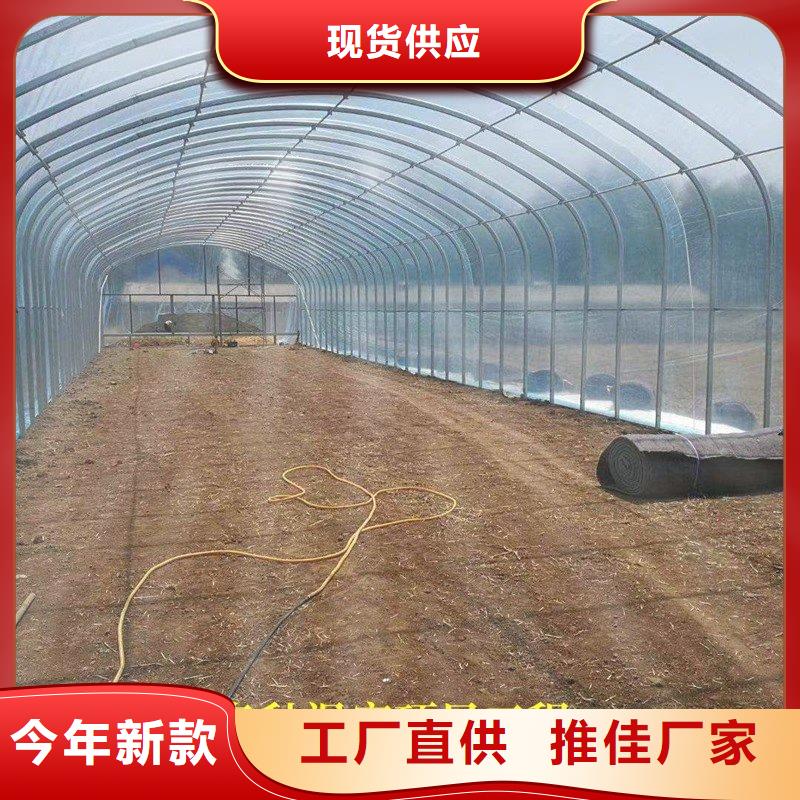蔬菜大棚管生產廠家