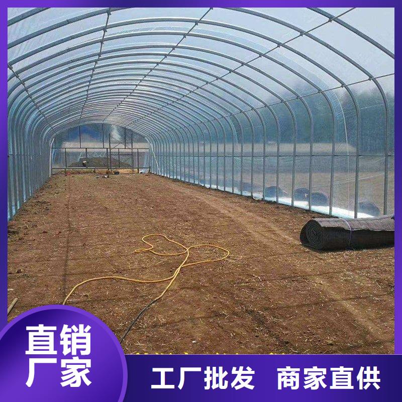 鏡湖溫室花卉大棚管信息