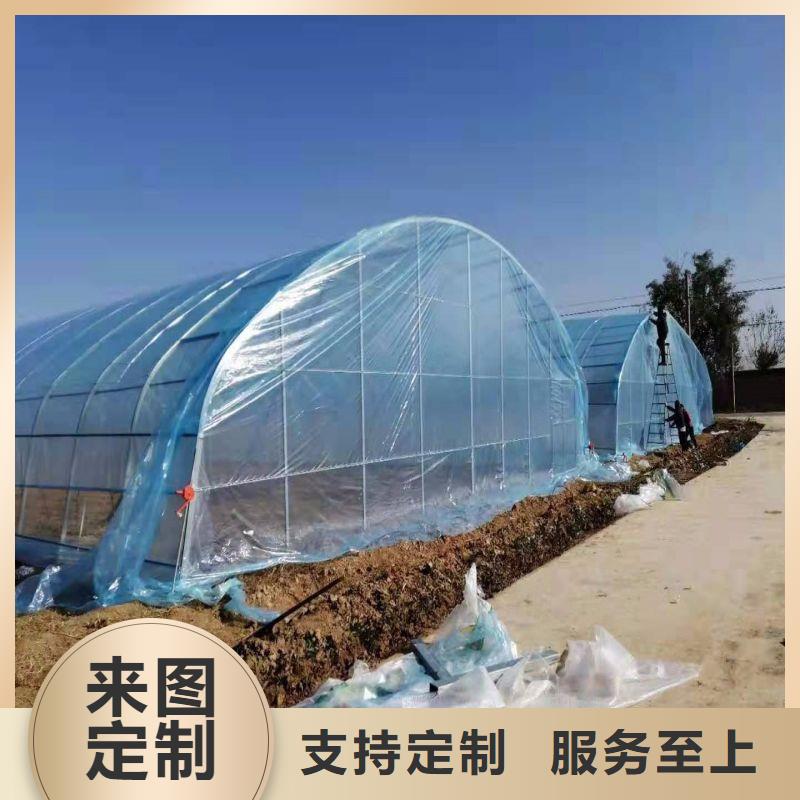 殷都連棟大棚造價多少一畝批發零售2025