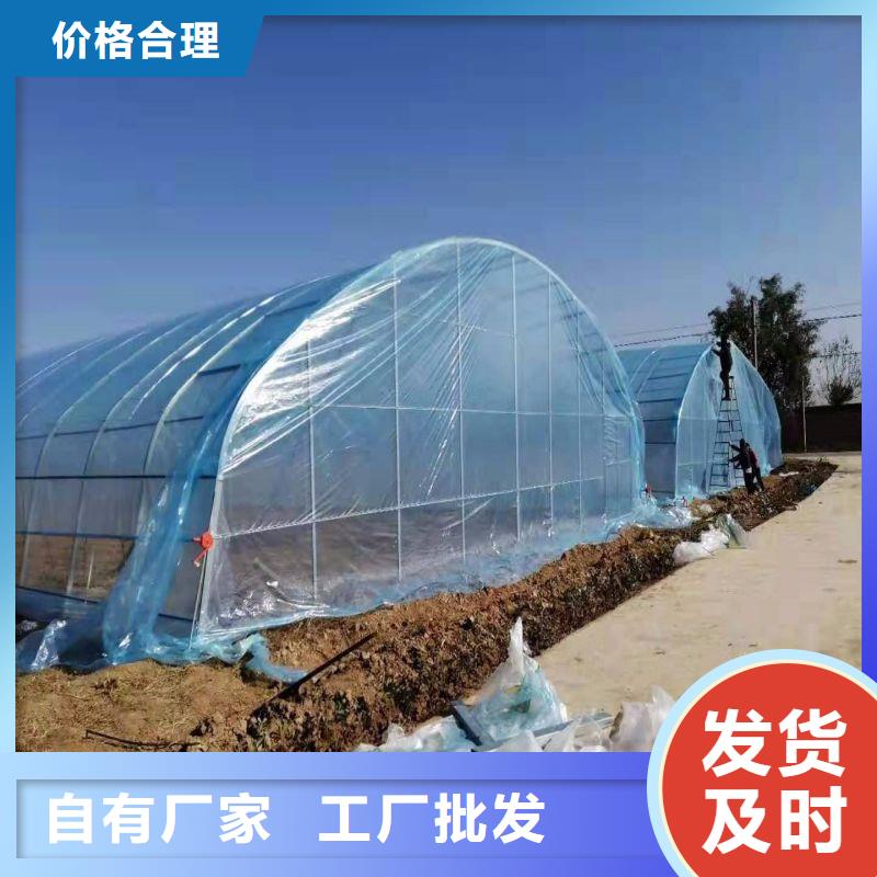 望都簡易6分柑橘大棚管免費上門指導