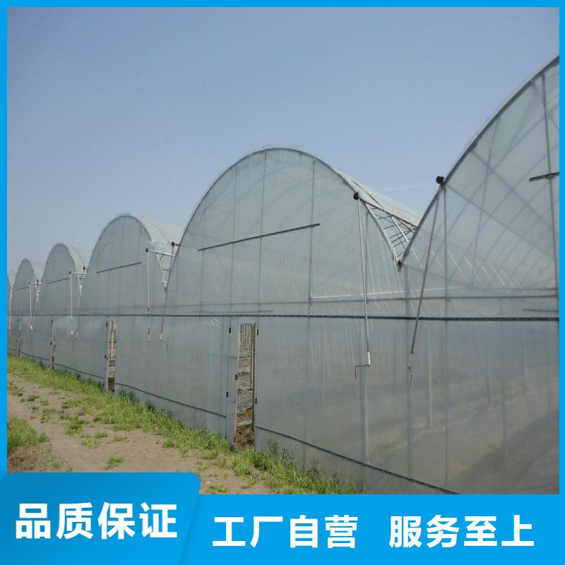 柑橘大棚骨架管