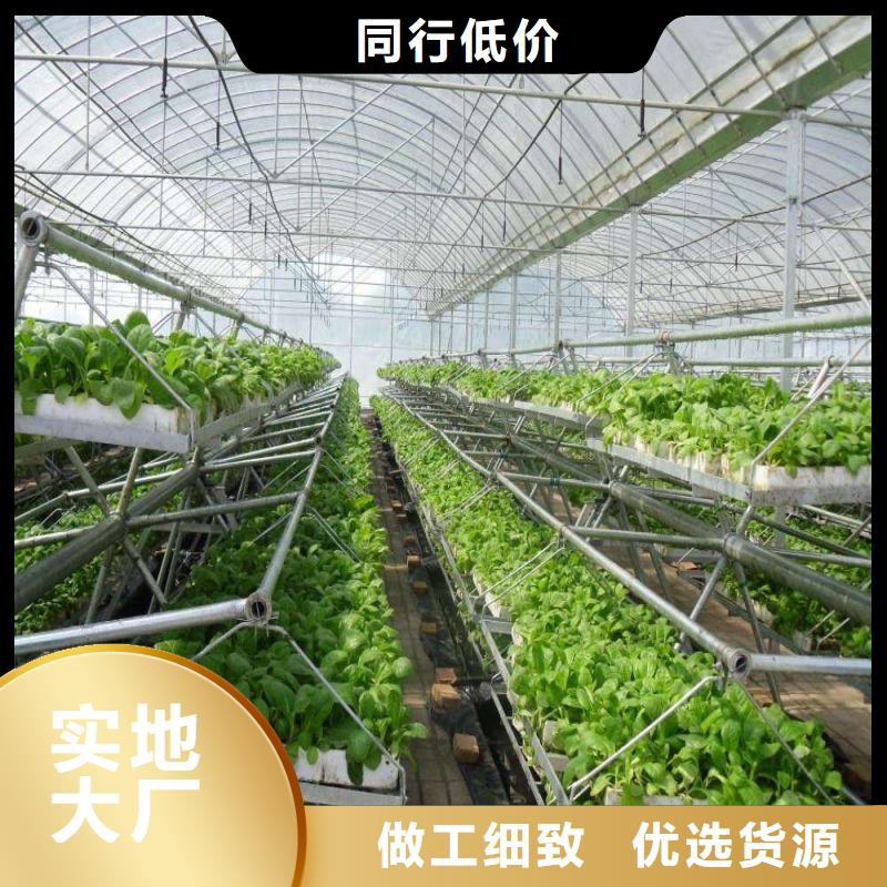 大棚管2_連棟大棚管工藝層層把關(guān)
