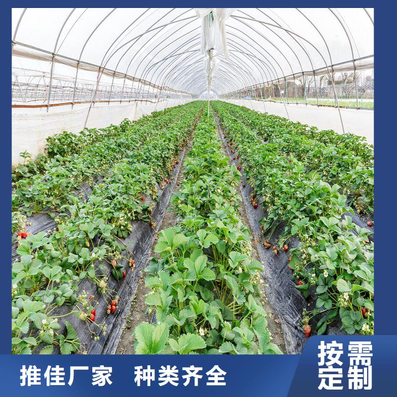 大棚管2大棚管優質原料