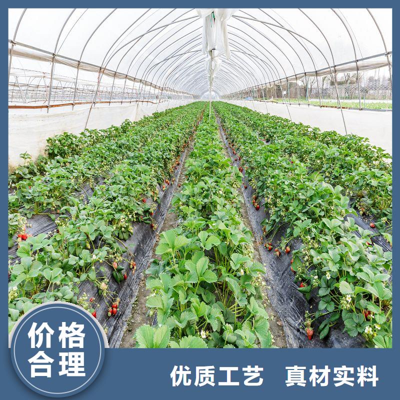 6分25mm蔬菜大棚鋼管采購