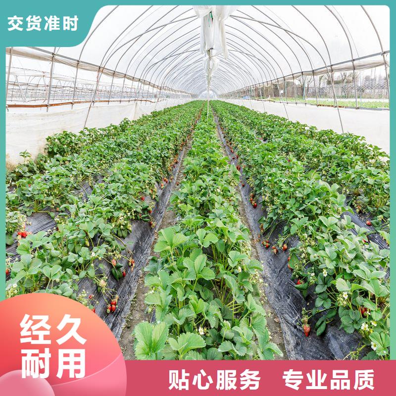 永平縣熱鍍鋅西瓜大棚管