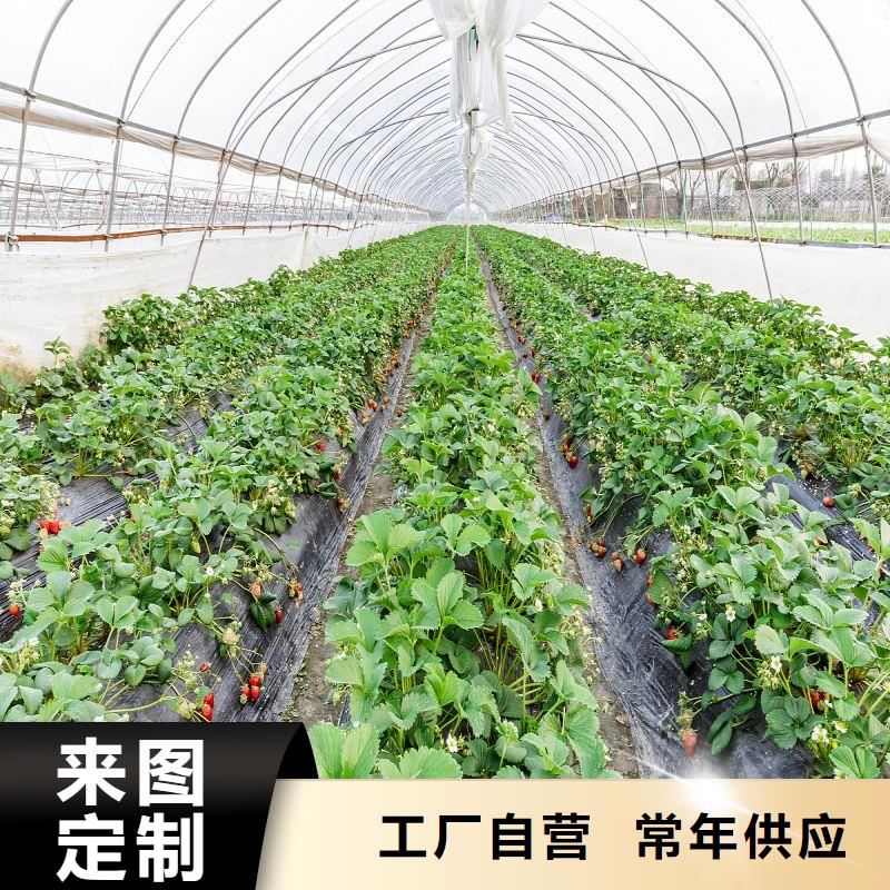 南芬區紋絡型玻璃溫室實體廠家