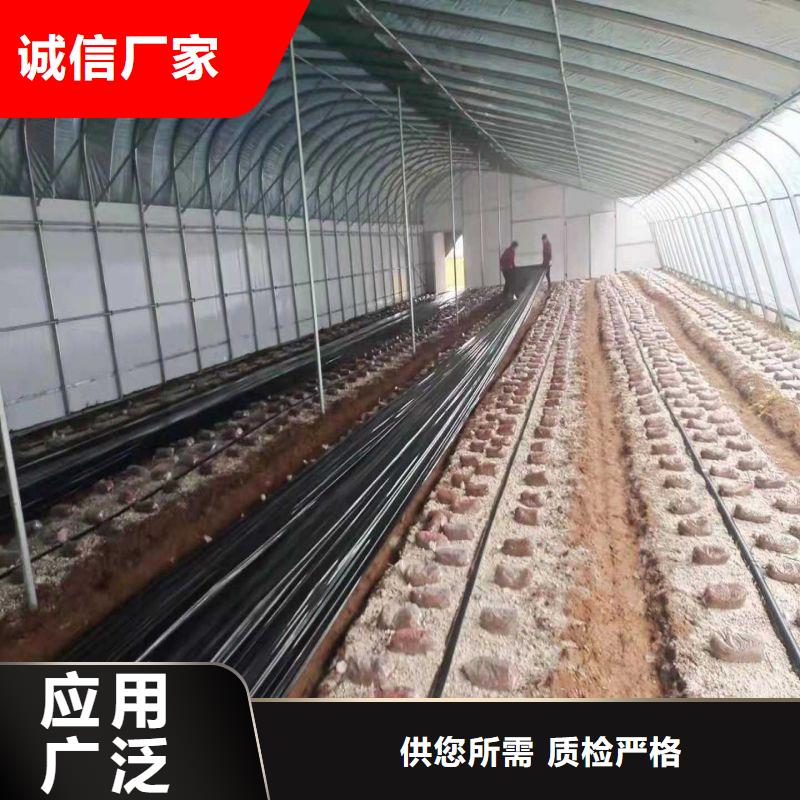 大棚管2,連棟大棚管精心