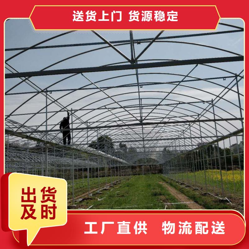 豐潤區樹苗大棚鋼管