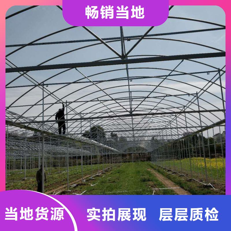 大棚管2_橢圓管溫室大棚講信譽保質量