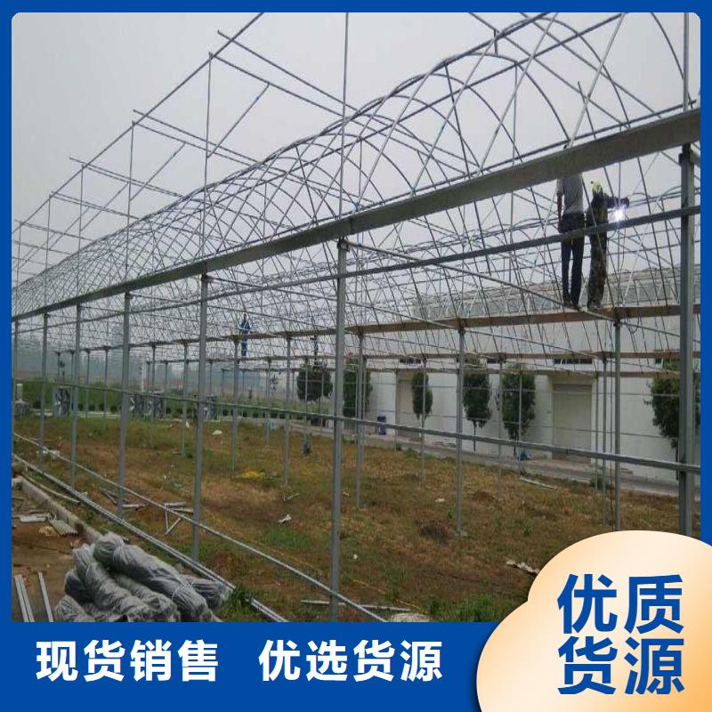 臺安縣蔬菜連棟大棚下單