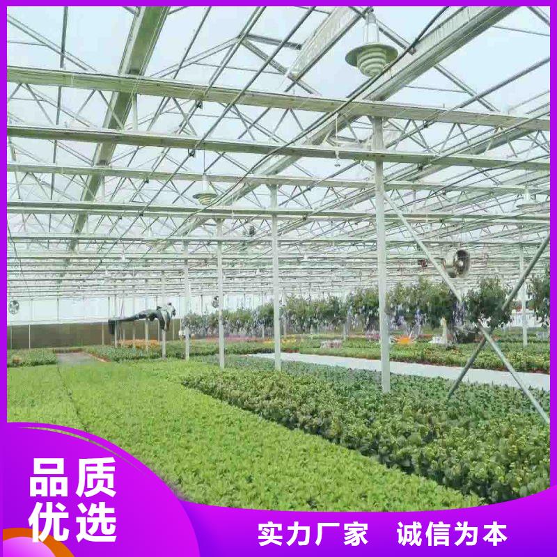 納雍縣大跨度大棚管現貨