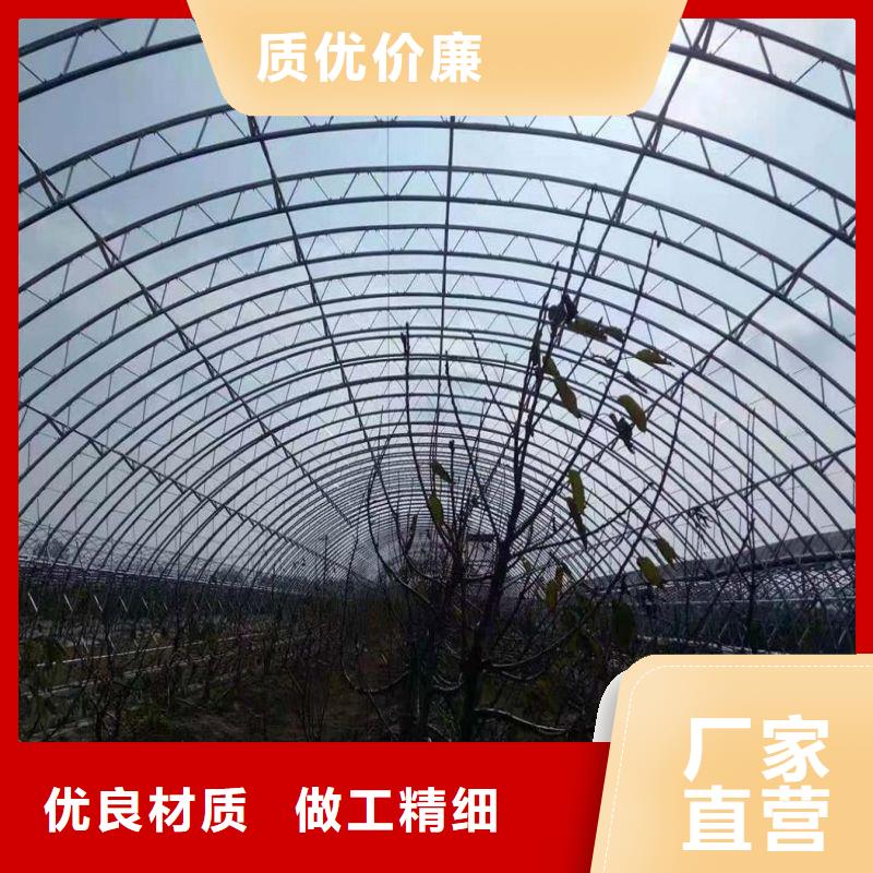石井街道簡易大棚管折彎