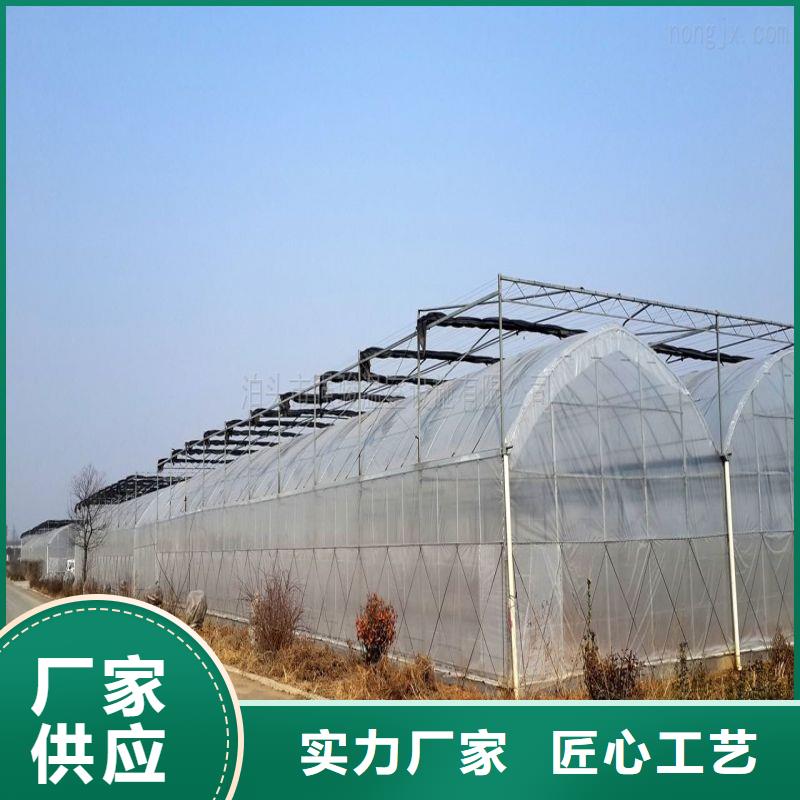 永豐縣塑料薄膜溫室價格
