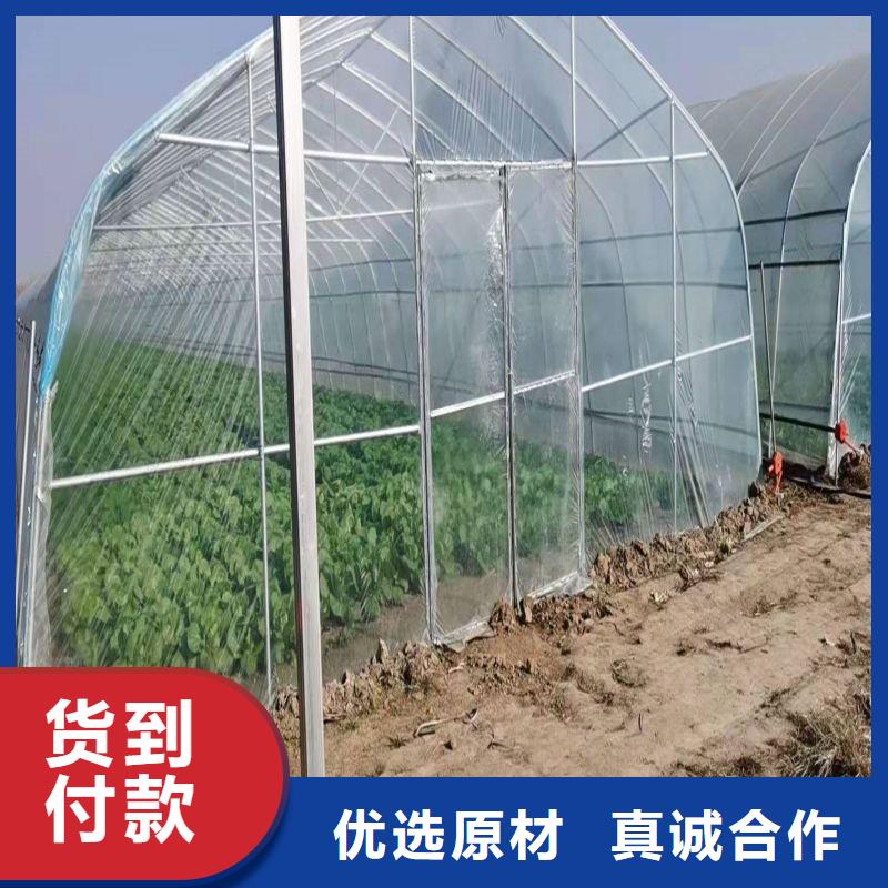 松溪溫室大棚多重優(yōu)惠