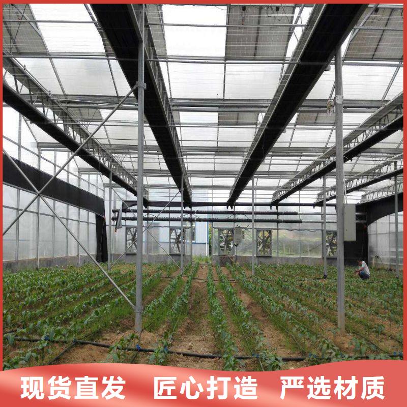 蓮池連棟大棚種植購買2025
