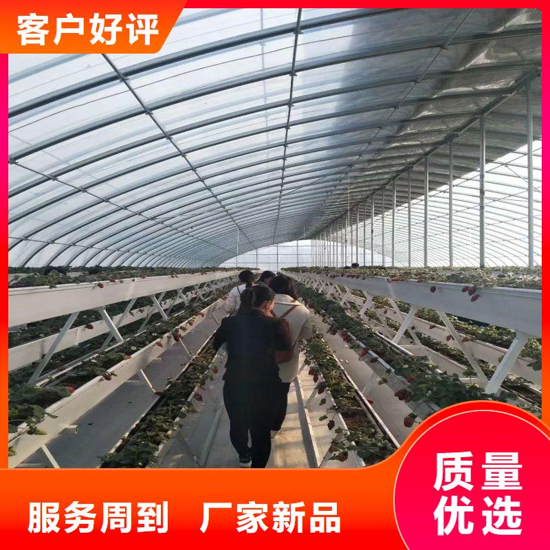 明光市熱浸鋅定尺大棚管