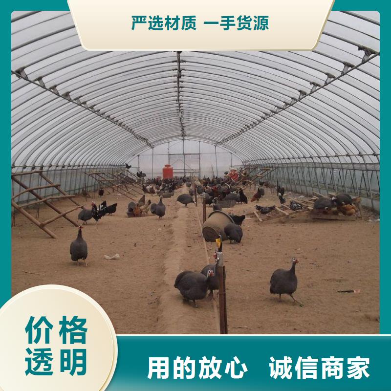 雄縣尖頂溫室咋賣