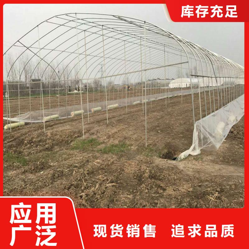 陸河樹苗大棚管現貨