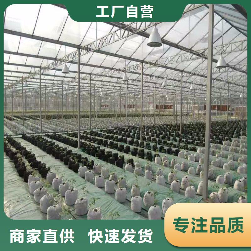 連棟大棚鋼管，在線咨詢