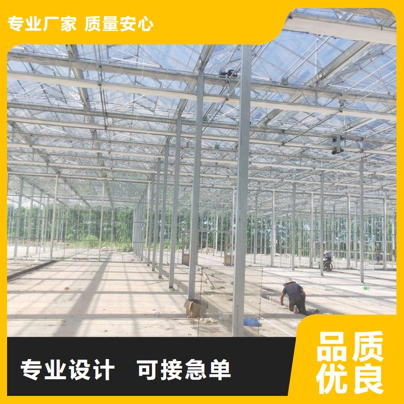 陸河樹苗大棚管現貨