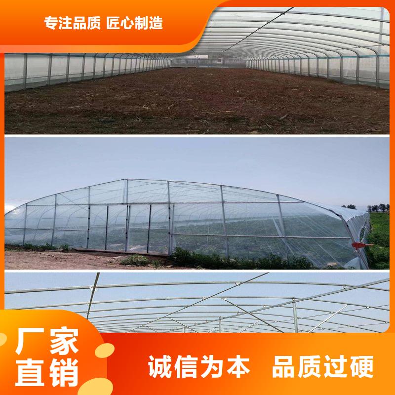 桐鄉水產養殖大棚卡槽大棚鋼管承諾守信