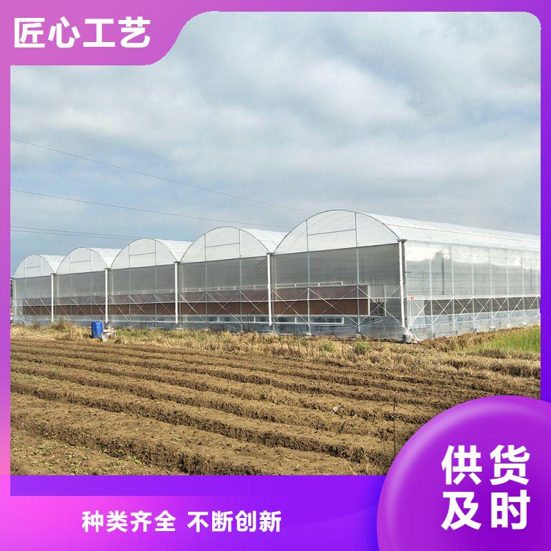 泰和連棟大棚安裝視頻教程購買2025