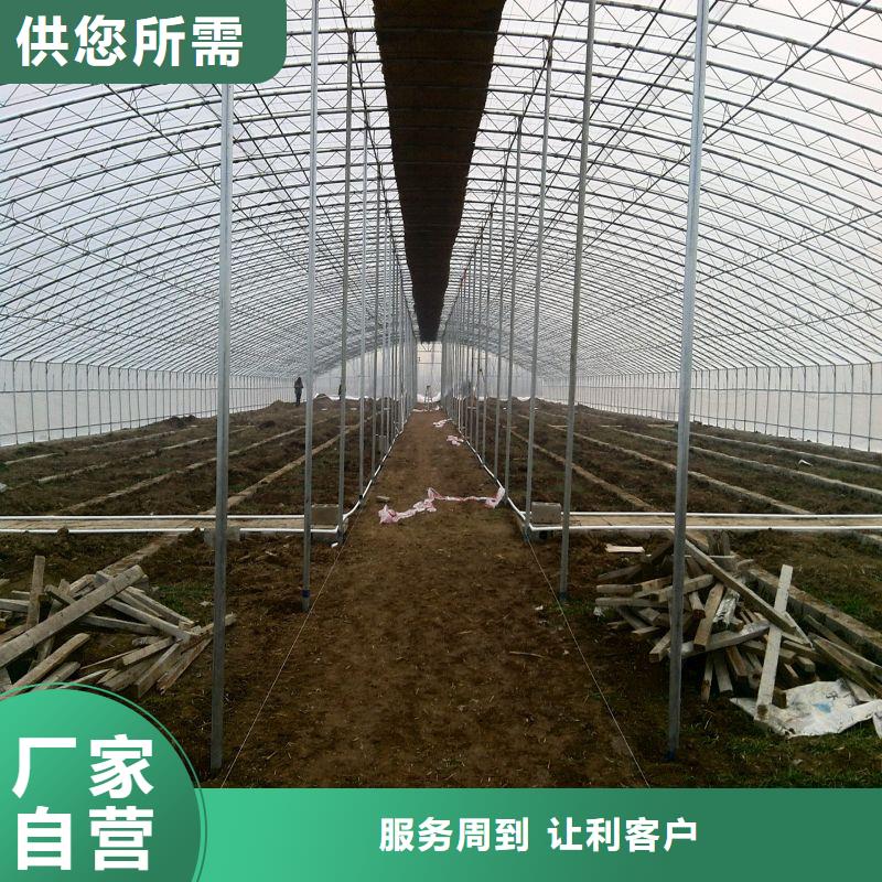 永豐春秋冷棚放心選擇