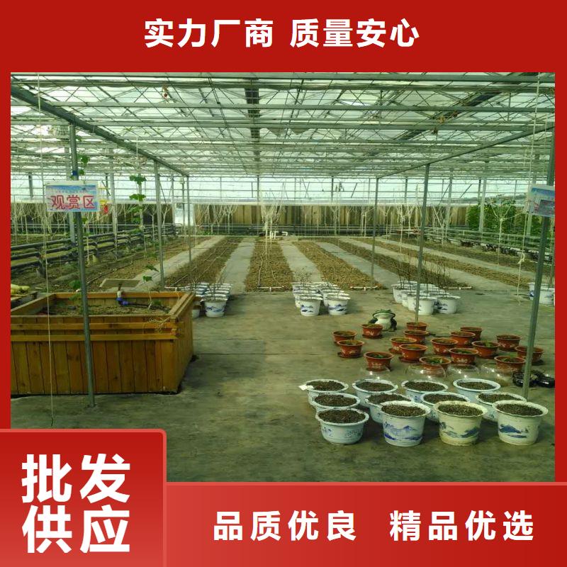 明溪县蔬菜连栋大棚钢管怎么样