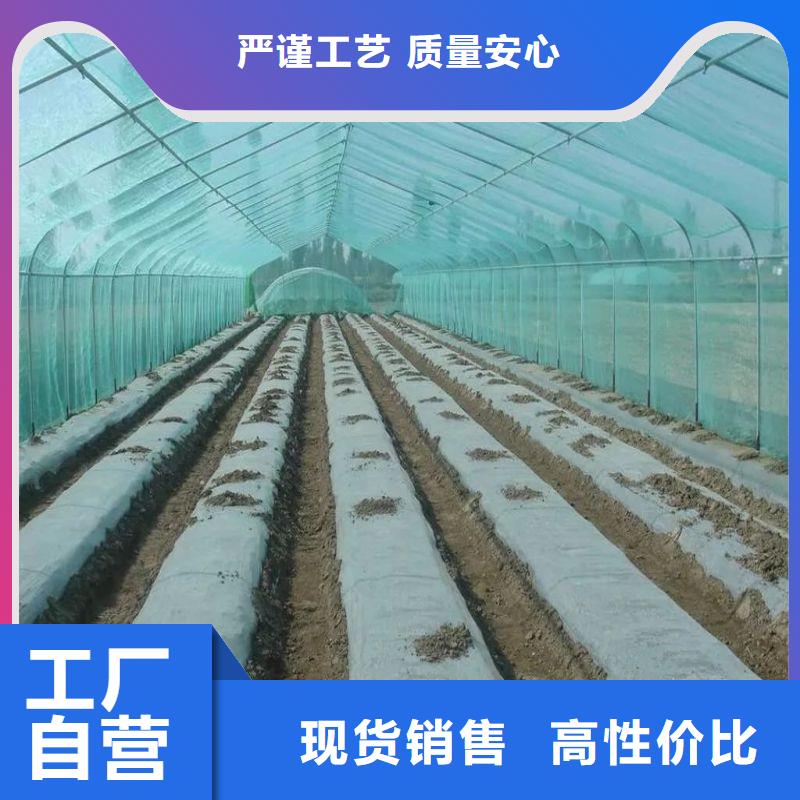 龍崗區綠色植物大棚骨架