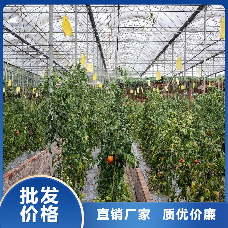 安福種植大棚設計