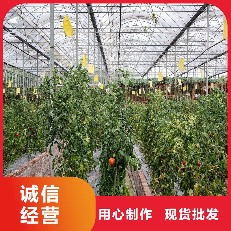 渝北1寸大棚管折彎