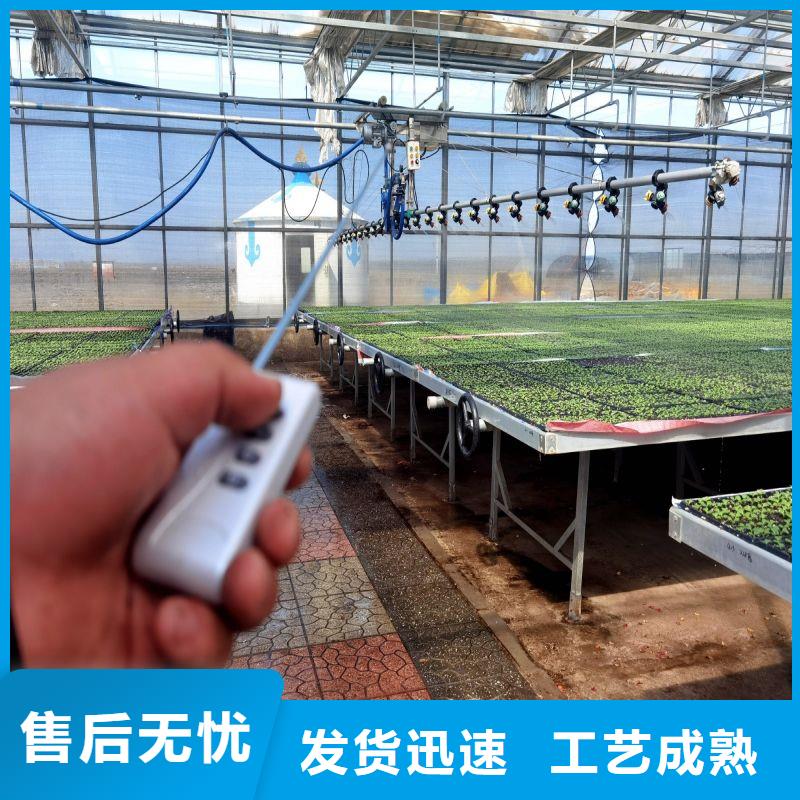 臺安縣蔬菜連棟大棚下單