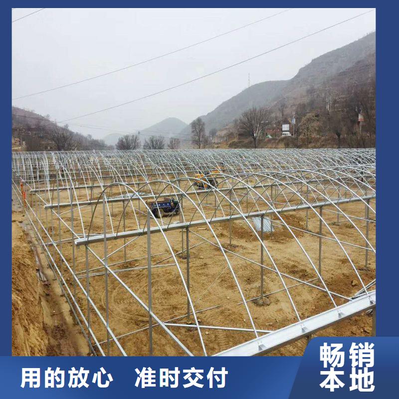 黃貝街道連棟塑料薄膜大棚骨架管