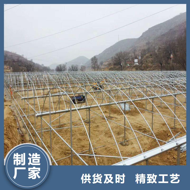 云霄無錫連棟大棚詢問報價2025