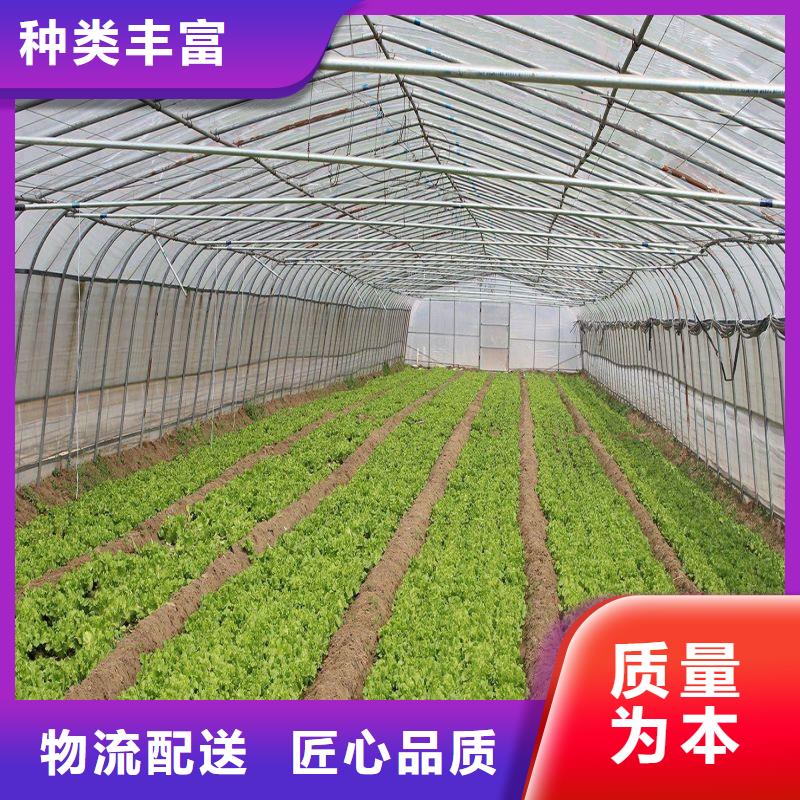 大棚管2【连栋大棚管】价格透明
