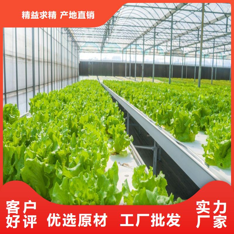 大棚管2,連棟大棚管精心