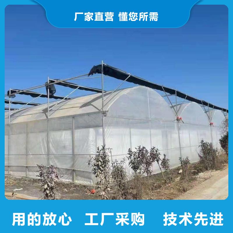 湟源縣草莓養殖大棚管源頭廠家
