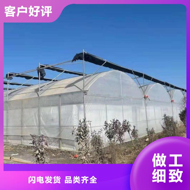 豐潤區樹苗大棚鋼管