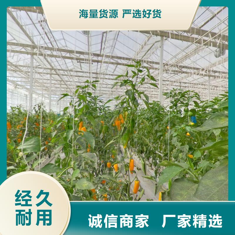 火龍果定尺大棚管
