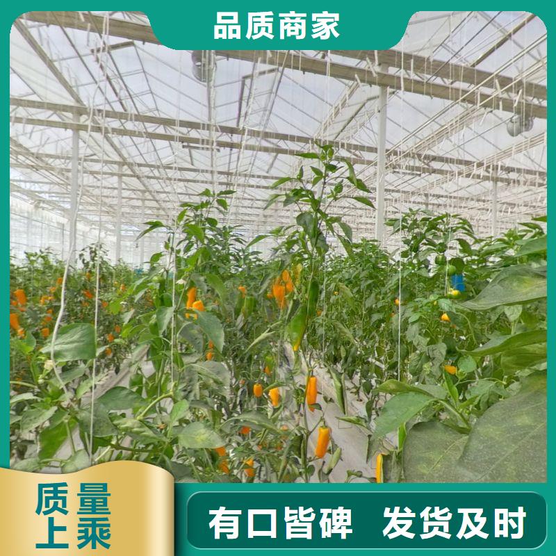 秦州無錫連棟大棚廠家報價2025