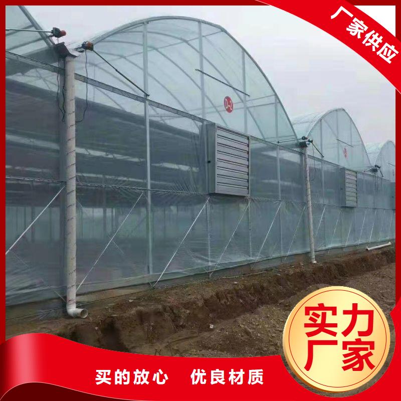 蓬江區草莓大棚管價格