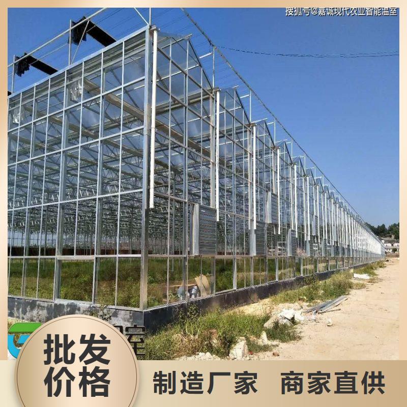 龍崗區綠色植物大棚骨架