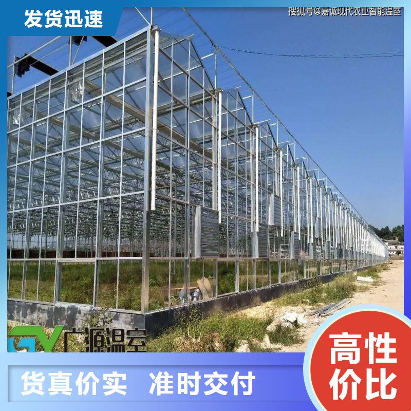 光明街道4分大棚骨架