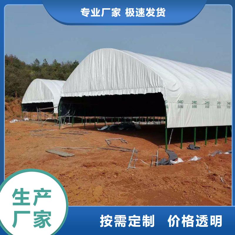 東方街道連體大棚用鍍鋅管聯(lián)系電話
